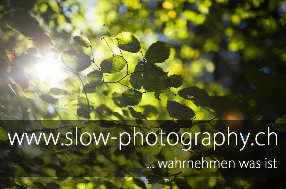 (c) Slow-photography.ch